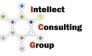 Intellect Consulting Group