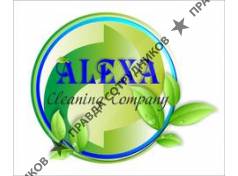 Alexa Cleaning company