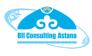 BII Consulting Astana 