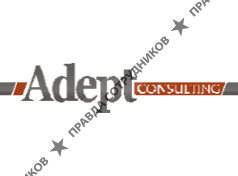 ADEPT CONSULTING