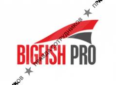 BigFish Pro