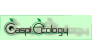 CaspiEcology