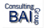 BAI Consilting Group