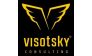 Visotsky Consulting Almaty