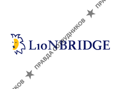 Lionbridge Technologies, Inc. (Ireland)