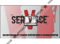 V-Service, ИП