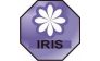 Салон красоты IRIS, ТМ