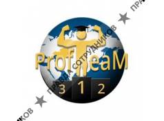 ТОО ProfTeam